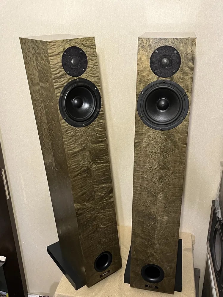 Audio Physic Tempo 2 Rare Vintage Floorstanding Speakers Tested Working Warranty