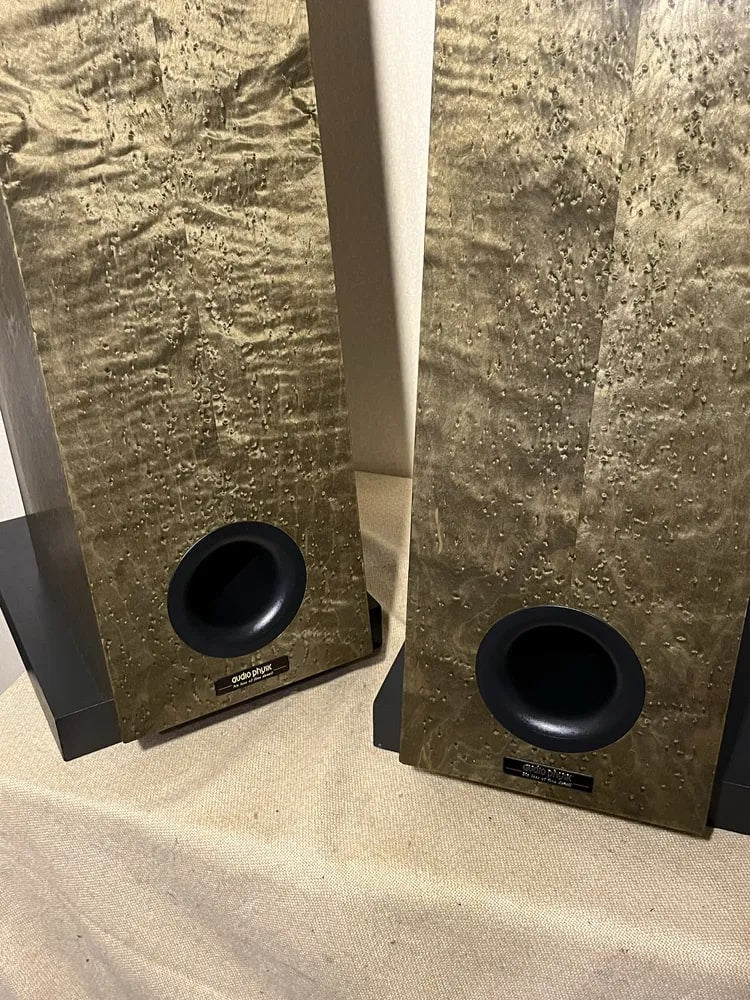 Audio Physic Tempo 2 Rare Vintage Floorstanding Speakers Tested Working Warranty