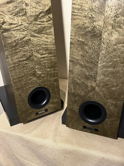 Audio Physic Tempo 2 Rare Vintage Floorstanding Speakers Tested Working