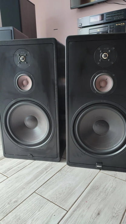 Canton CT 1000 MK II Rare Vintage Floorstanding Speakers Working
