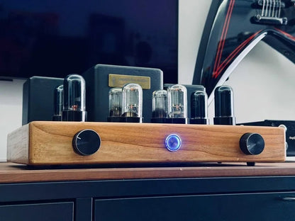 papatube.audio PP 6П6С (6V6) 2×12 Вт Rare Vintage Tube Amplifier Serviced
