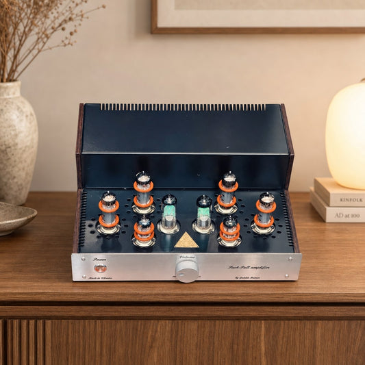 papatube.audio EL84 PP Rare Vintage Tube NEW Power Amplifier Warranty