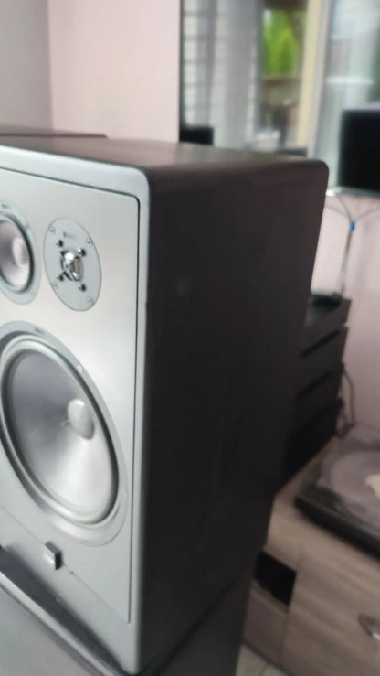 Canton CT 1000 Rare Vintage Floor Speakers Working Hi-Fi