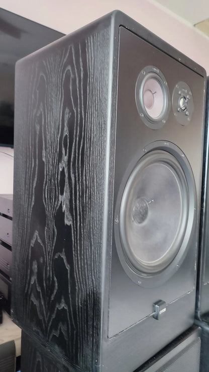 Canton CT 1000 Rare Vintage Floor Speakers Working Hi-Fi