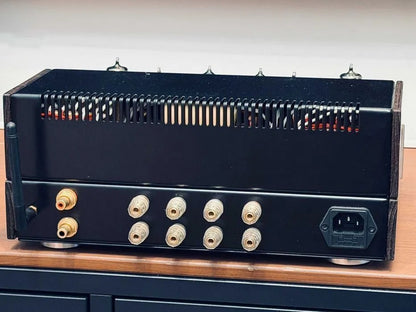 papatube.audio EL84 PP Rare Vintage Tube NEW Power Amplifier Warranty